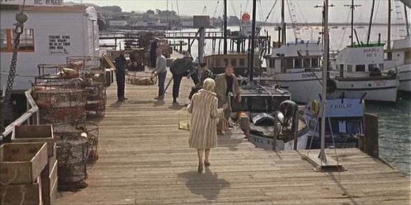The Birds The Official Bodega Bay Area Websitethe