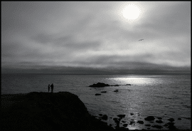 More Fog North of Bodega Bay