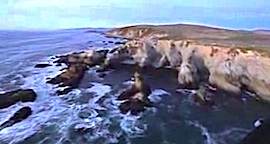 How About A Helicopter Ride Around Bodega Bay?