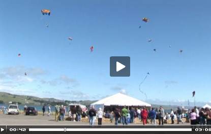 FishFest2