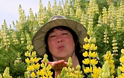 First Day of Summer Photo Contest