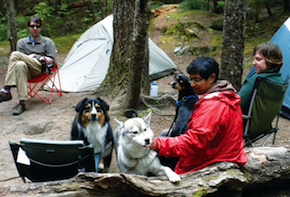 Camping for the DOGS!