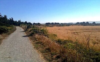 Bird Walk Coastal Access Trail