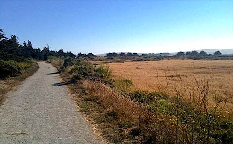 Bird Walk Coastal Access Trail