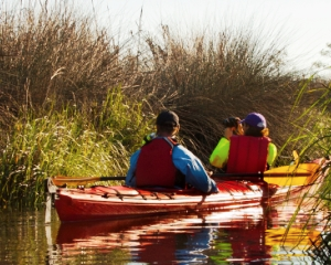 Bodega Bay Tandem Kayaking Tour