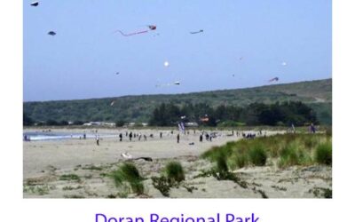 Castles and Kites – May 7th – Doran Park