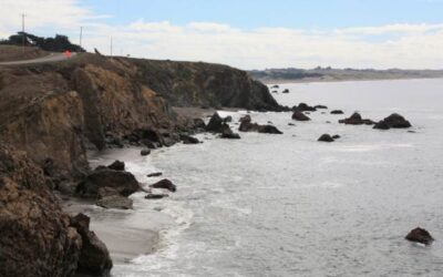 Exploring Bodega Bay on California’s Rugged Coast