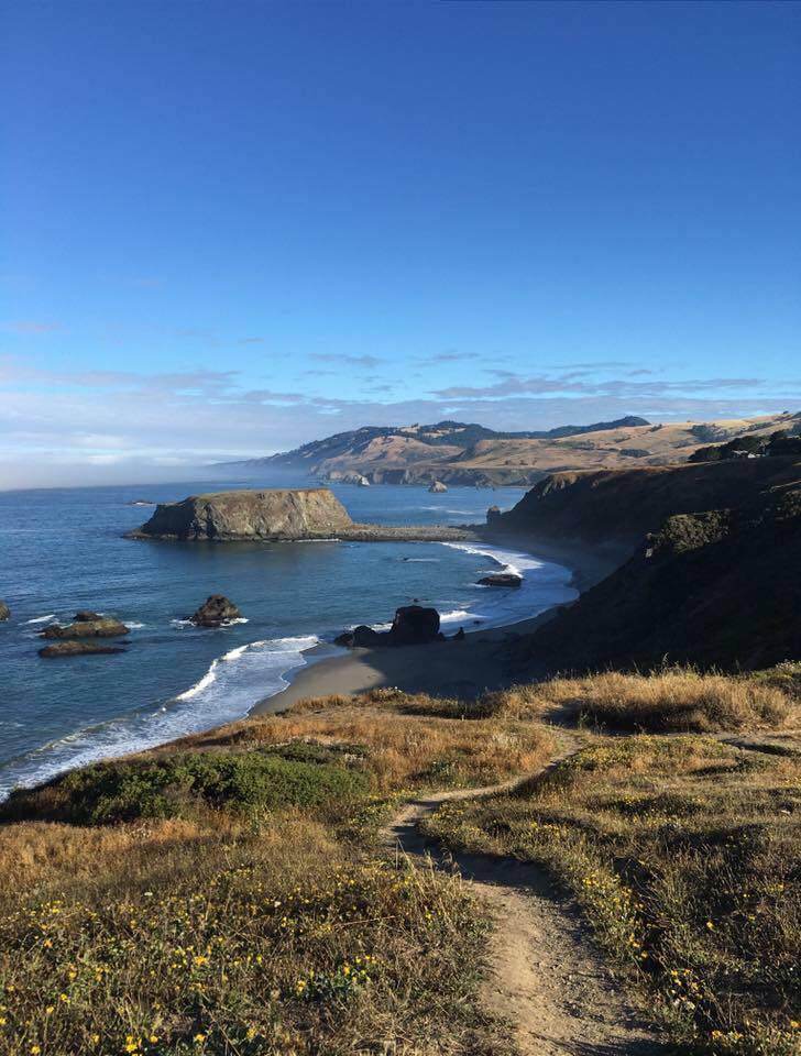 Bodega Bay Area Activities Things To Do Camping Parks 