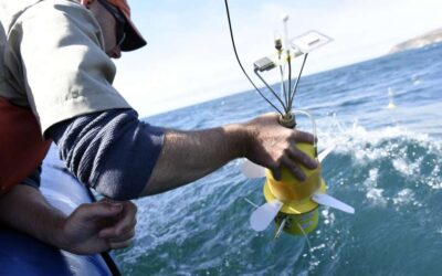 Minion-like sea-bots spy on fragile ecosystem