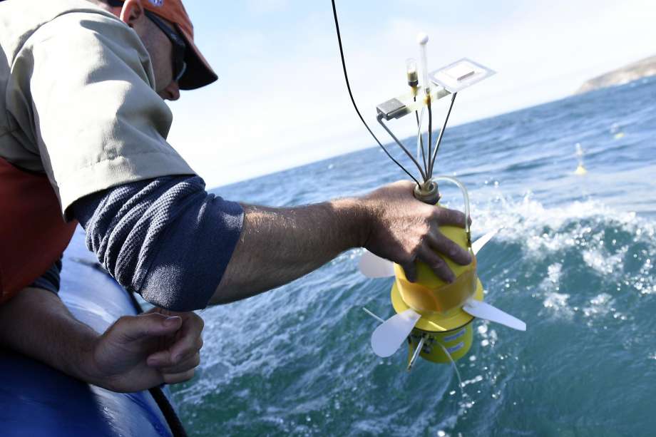 Minion-like sea-bots spy on fragile ecosystem