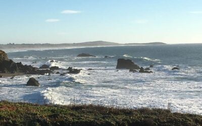 Local Coastal Plan Photo Contest