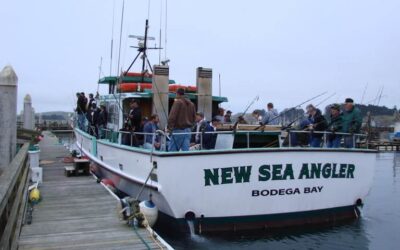 Fish for free next Saturday (Sept 2nd)