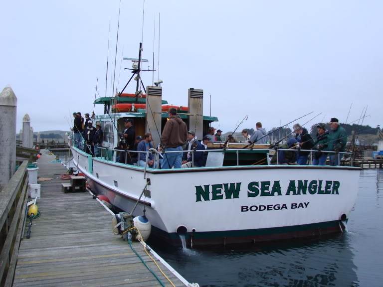 Fish for free next Saturday (Sept 2nd)