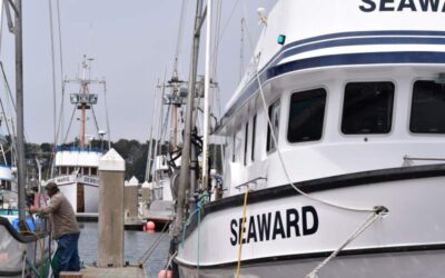 Salmon season flops: Drought years cut North Coast salmon population