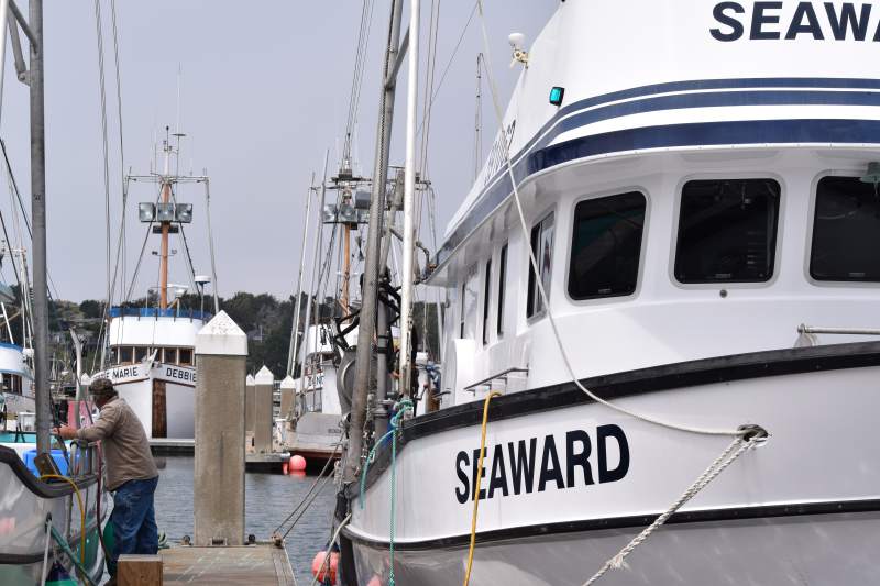 Salmon season flops: Drought years cut North Coast salmon population