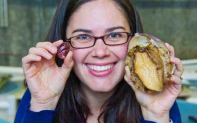 Tour Bodega Marine Laboratory with Dr. Kristin Aquilino and Stay at Bodega Bay Lodge