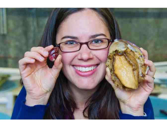 Tour Bodega Marine Laboratory with Dr. Kristin Aquilino and Stay at Bodega Bay Lodge