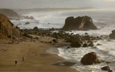 Top California Democrats, drilling foes unite in opposition to Trump’s marine sanctuaries review