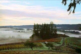 Winemakers relish in the Sonoma Coast