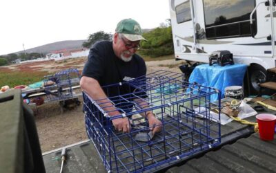 Dungeness crab season opens for sport fishermen