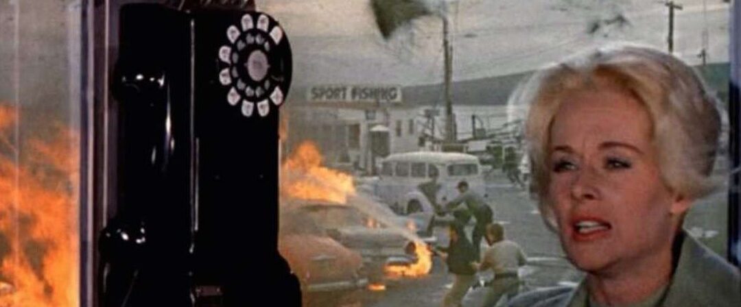 10 Fascinating Facts About The Birds