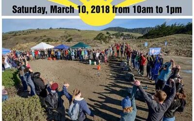 B-Rad Annual Beach Cleanup at Goat Rock – March 10th