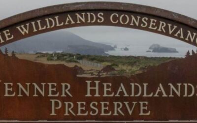 Jenner Headlands preserve takes hikers to breathtaking heights