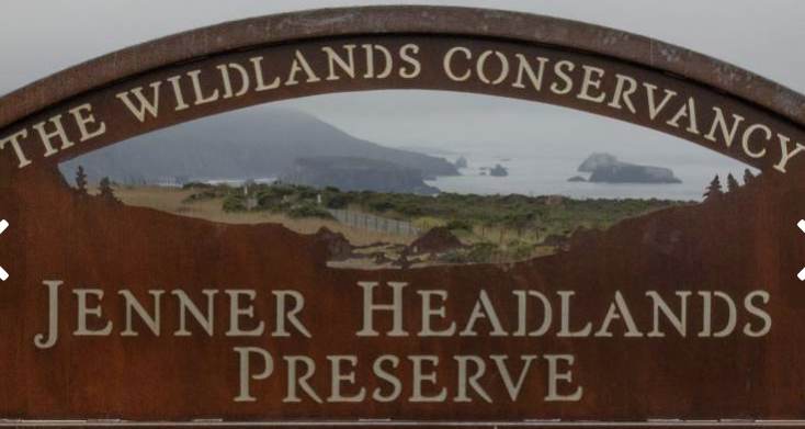 Jenner Headlands preserve takes hikers to breathtaking heights