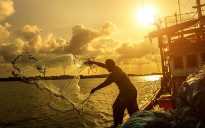 Crab Season Delayed Again North Of The Sonoma-Mendocino County Line