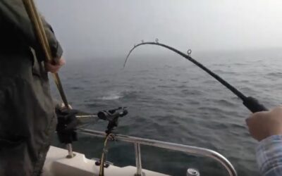 Salmon season reopens May 18