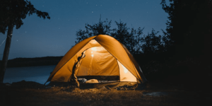 Bodega Bay Camping