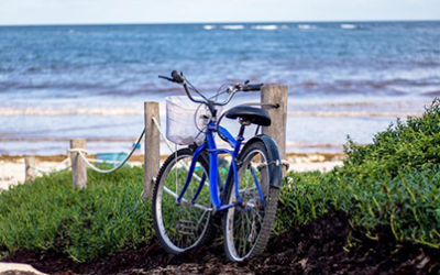Bodega Bay Bike Rides