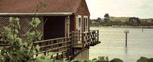 At The Bay's Edge