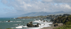 Coastal Agent