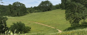Foothill Regional Park