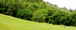 Hood Mountain Regional Park