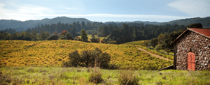 Jack London State Historic Park