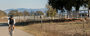 Joe Rodota Trail