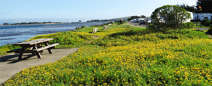 Westside Regional Park
