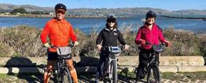 Ace It! Bike Tours