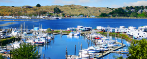 Porto Bodega Marina