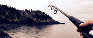 Reports From USA Fishing