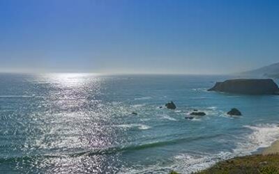 What’s Open and What’s Not