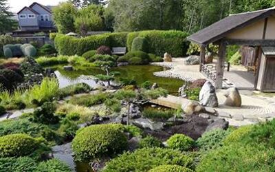 Now Is the Time to Experience Osmosis Day Spa Sanctuary