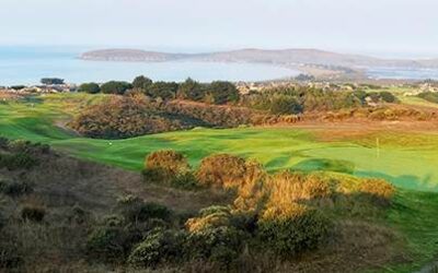 A Beautiful Golf Course Adventure in Bodega Bay