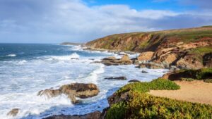 Experience Bodega Bay