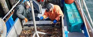 Spud Point Crab Company
