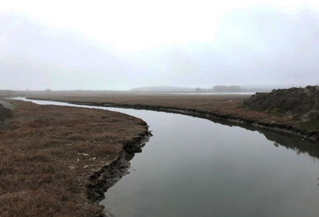 Bird Walk Coastal Access Trail