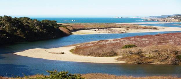 Gualala Point Regional Park