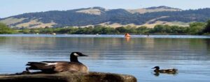 Spring Lake Regional Park